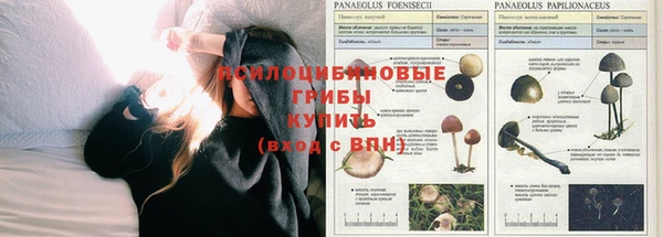 МДМА Богданович