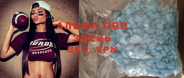 сатива Белокуриха
